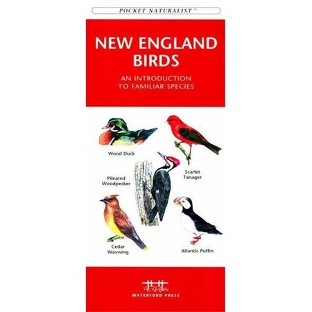WATERFORD PRESS Waterford Press WFP1583551721 New England Birds Book: An Introduction to Familiar Species (Regional Nature Guides) WFP1583551721